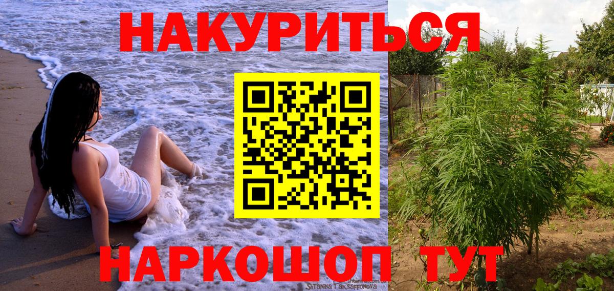 Конопля тримм  Вход с VPN  Конопля тримм  Сатка  Бошки Шишки планчик 